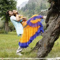 Vijay's Velayutham Movie New Unseen Pictures | Picture 107359
